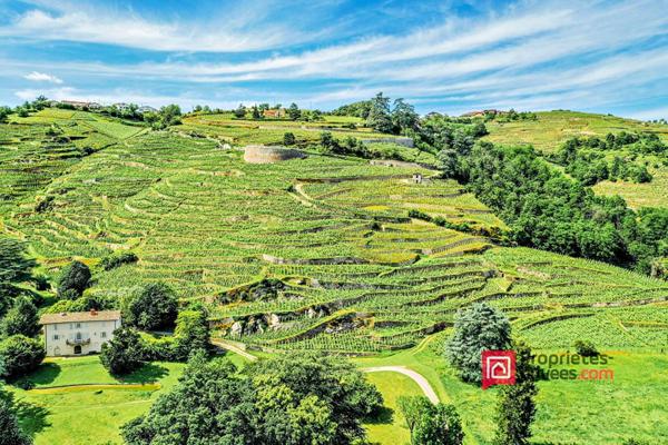 LOFT CONDRIEU 3 PIECES 135m2 en rez de jardin