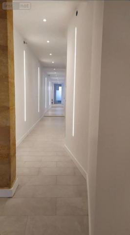 Local professionnel à louer à Bordeaux en Gironde (33300), ref : 11548/1/B_101   
Bacalan