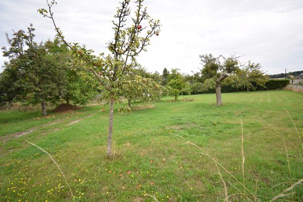 TERRAIN A BATIR VIABILISE