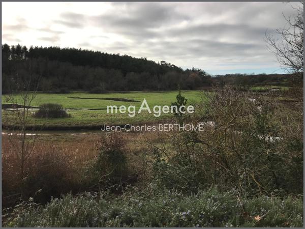 Terrain à LES SABLES-D'OLONNE, 85340 - 8835m²