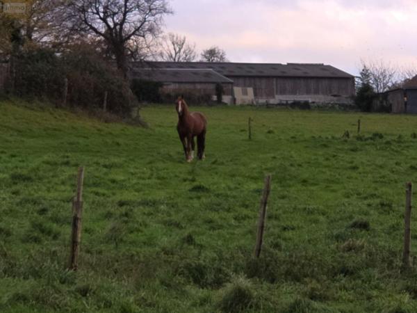 Maison à vendre à Villaines-la-Juhel en Mayenne (53700), ref : 1385 Maison à vendre à Villaines-la-Juhel en Mayenne (53700), ref : 1385