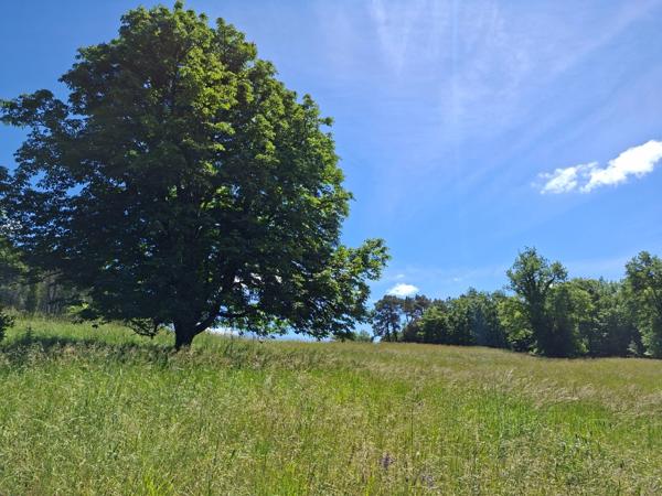 Propriété de caractère avec deux maisons en pierre sur plus de 9 hectares aux portes de Sarlat – Périgord Noir