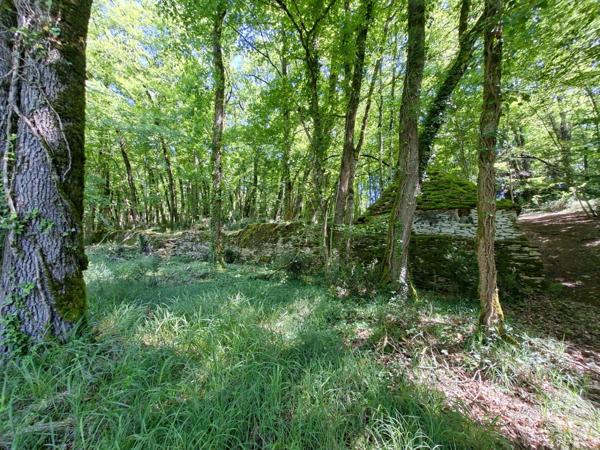 Propriété de caractère avec deux maisons en pierre sur plus de 9 hectares aux portes de Sarlat – Périgord Noir