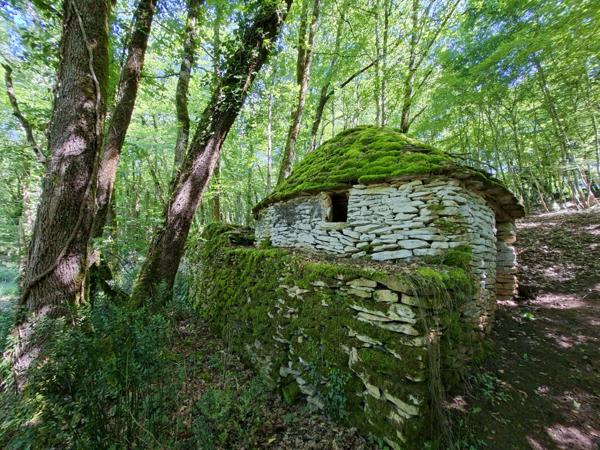 Propriété de caractère avec deux maisons en pierre sur plus de 9 hectares aux portes de Sarlat – Périgord Noir