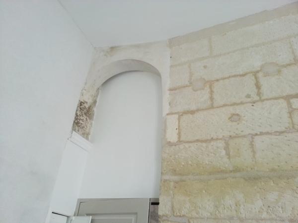 Location appartement Saintes : 350 € - AJP Immobilier Saintes