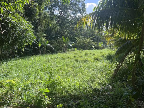 Vente Terrain 1327 m2 à Rivière-Salée