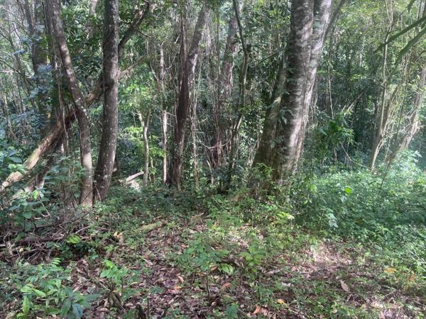 Vente Terrain 1327 m2 à Rivière-Salée