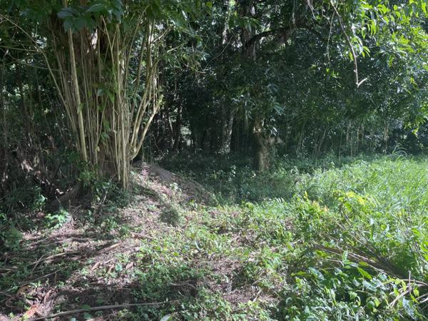 Vente Terrain 1327 m2 à Rivière-Salée