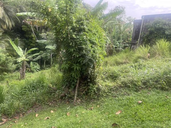 Vente Terrain 1327 m2 à Rivière-Salée