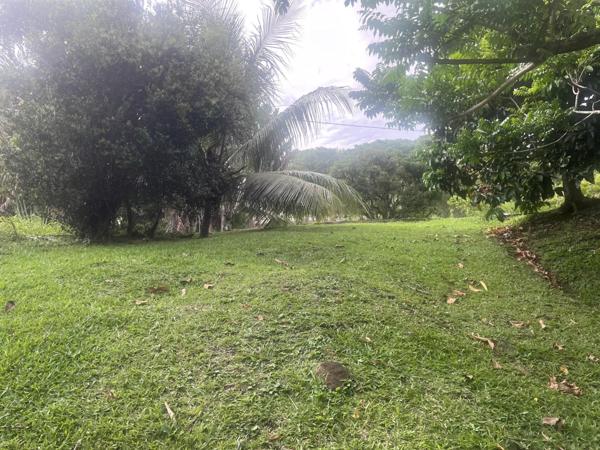 Vente Terrain 1327 m2 à Rivière-Salée