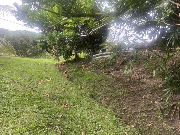 Vente Terrain 1327 m2 à Rivière-Salée