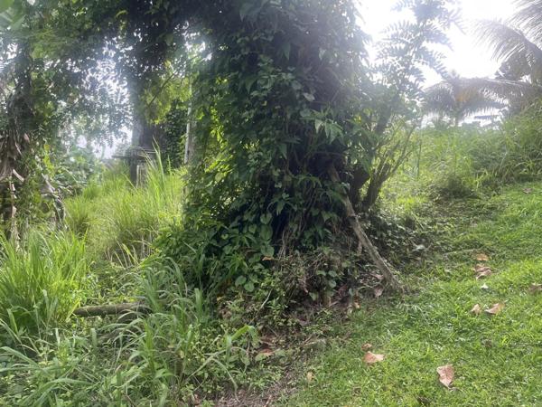 Vente Terrain 1327 m2 à Rivière-Salée