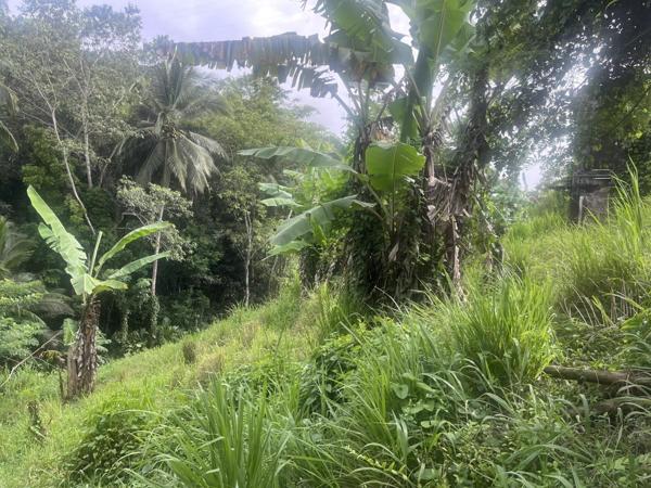 Vente Terrain 1327 m2 à Rivière-Salée