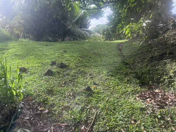 Vente Terrain 1327 m2 à Rivière-Salée