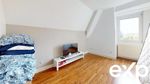 Maison 3 appartements 3 garages Colmar