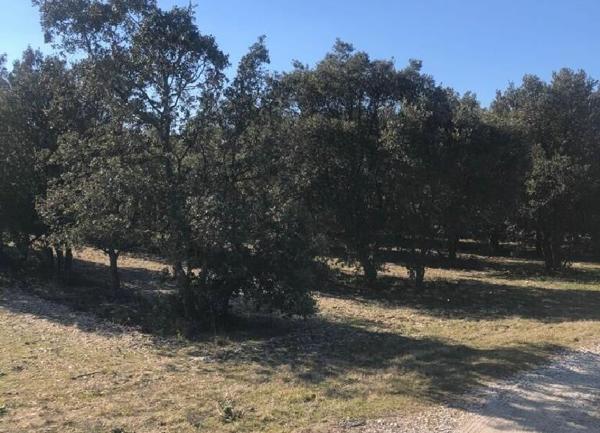 Terrain à vendre    39 914 m2 Montségur-sur-Lauzon