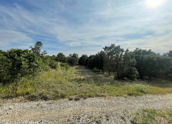 Terrain à vendre    39 914 m2 Montségur-sur-Lauzon