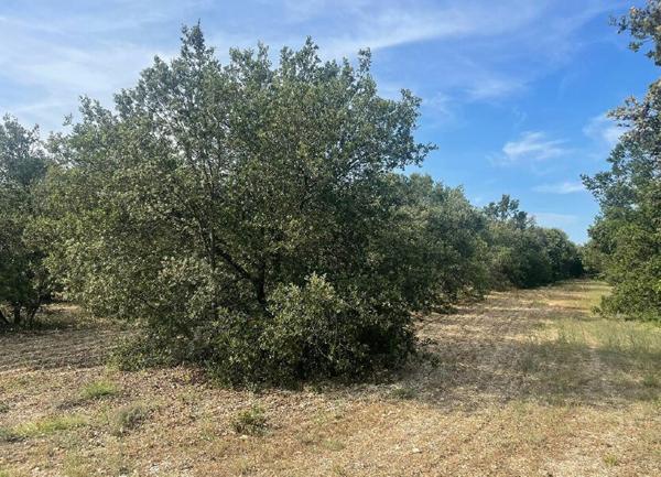 Terrain à vendre    39 914 m2 Montségur-sur-Lauzon