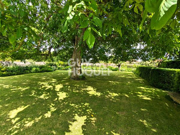 Cadre rare, bien unique !