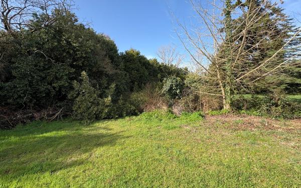 Maison à vendre    8 pièces •  Saint-Georges-d'Oléron