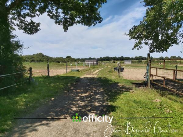 Maison 4 pièces - 90 m² Exclusivité efficity