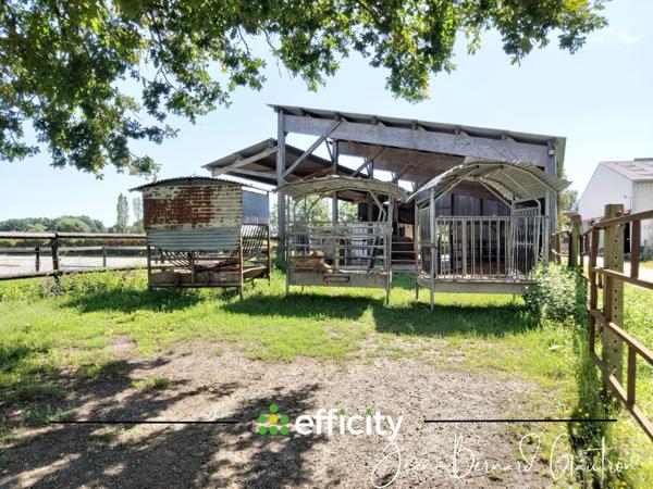 Maison 4 pièces - 90 m² Exclusivité efficity