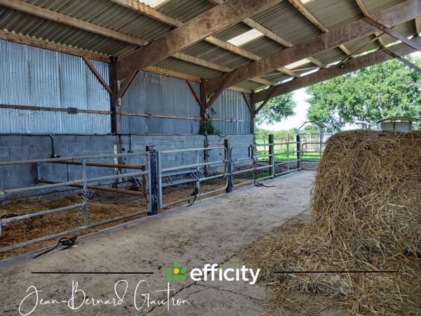 Maison 4 pièces - 90 m² Exclusivité efficity