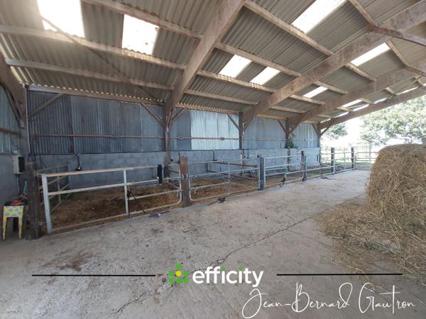 Maison 4 pièces - 90 m² Exclusivité efficity