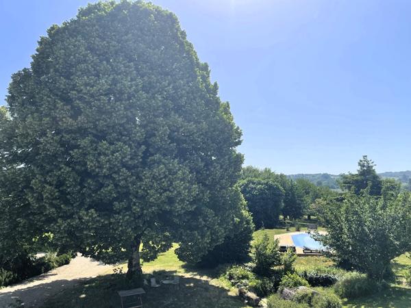 Commerce à vendre à Blaye (33390) - Gironde