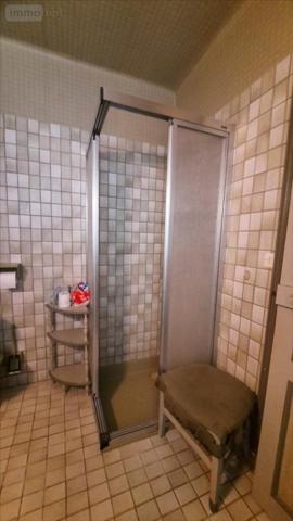 Maison rurale à vendre à Langé dans l'Indre (36600), ref : 021/1539