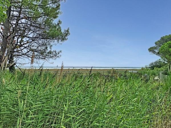 Terrain
        
        - 774 m² 256 000 € *