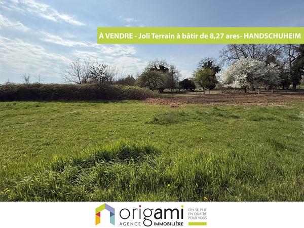 A VENDRE Terrain constructible de 8,27 ares situé à HANDSCHUHEIM Handschuheim A VENDRE Terrain constructible de 8,27 ares situé à HANDSCHUHEIM Handschuheim
