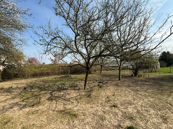 A VENDRE Terrain constructible de 8,27 ares situé à HANDSCHUHEIM Handschuheim A VENDRE Terrain constructible de 8,27 ares situé à HANDSCHUHEIM Handschuheim