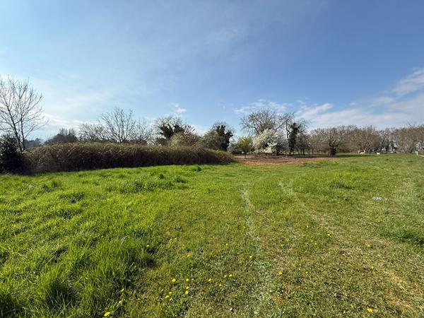 A VENDRE Terrain constructible de 8,27 ares situé à HANDSCHUHEIM Handschuheim A VENDRE Terrain constructible de 8,27 ares situé à HANDSCHUHEIM Handschuheim