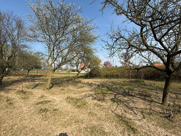A VENDRE Terrain constructible de 8,27 ares situé à HANDSCHUHEIM Handschuheim A VENDRE Terrain constructible de 8,27 ares situé à HANDSCHUHEIM Handschuheim
