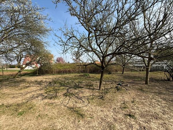 A VENDRE Terrain constructible de 8,27 ares situé à HANDSCHUHEIM Handschuheim A VENDRE Terrain constructible de 8,27 ares situé à HANDSCHUHEIM Handschuheim