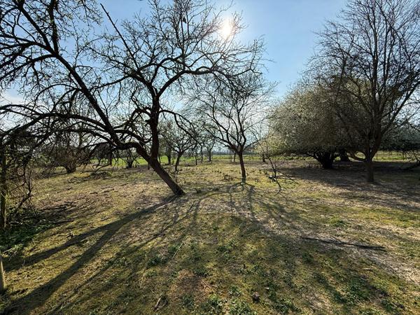 A VENDRE Terrain constructible de 8,27 ares situé à HANDSCHUHEIM Handschuheim A VENDRE Terrain constructible de 8,27 ares situé à HANDSCHUHEIM Handschuheim