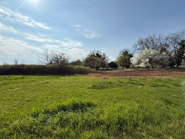 A VENDRE Terrain constructible de 8,27 ares situé à HANDSCHUHEIM Handschuheim A VENDRE Terrain constructible de 8,27 ares situé à HANDSCHUHEIM Handschuheim