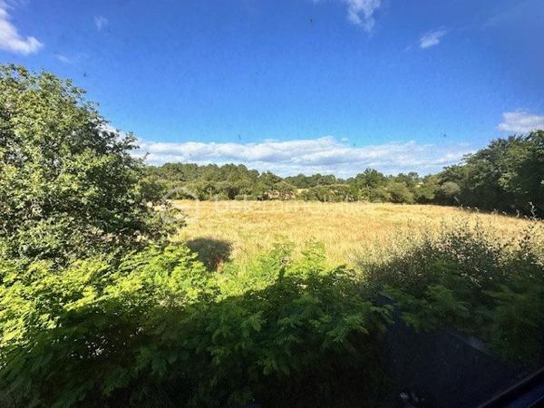 Local d activites de 240 m²