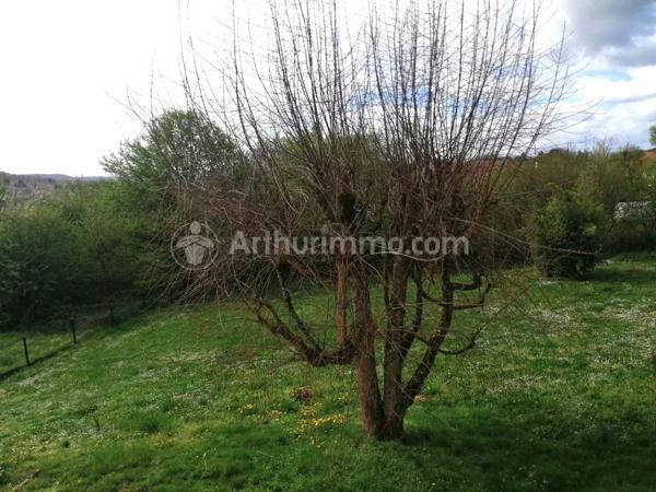 Vente Maison 10 pièces 250 m2 à Montbéliard