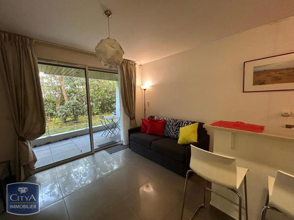 Appartement à louer 1 pièce 24.86m² Cannes (06400)