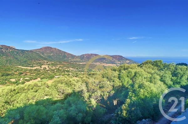 Maison à vendre  5 pièces - 95,70 m2 AREGNO - 202