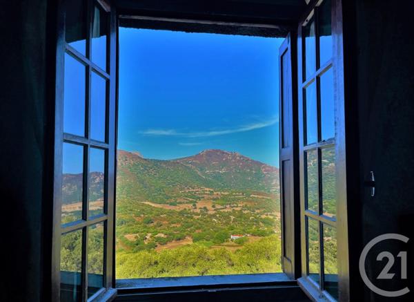 Maison à vendre  5 pièces - 95,70 m2 AREGNO - 202