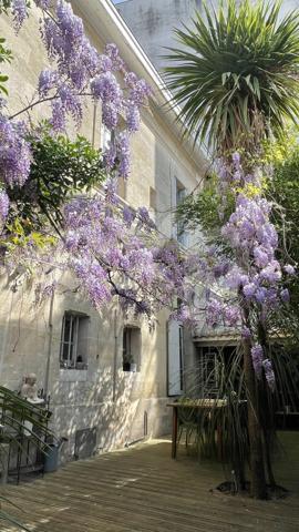 Bordeaux Nansouty – Maison bourgeoise pierre 180 m², terrasse arborée, garage 4 places