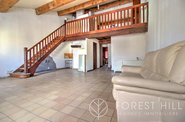 Céret (66400) Opportunité rare à Céret