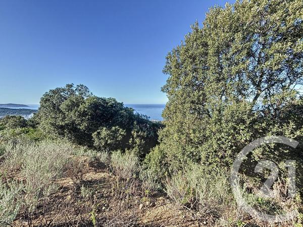 Terrain à vendre  1700 m2 COTI CHIAVARI - 201