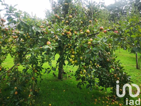 Maison à vendre 5 pièces 93 m² Quimper