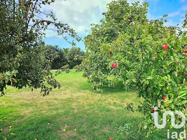 Longère 7 pièces de 167 m² à Pleubian (22610)