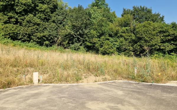 Terrain à vendre    Lornay