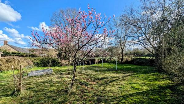 Vente                                                      Maison de village
                        
                     2 pièces                      72 m2                     à Aubigny-sur-Nère